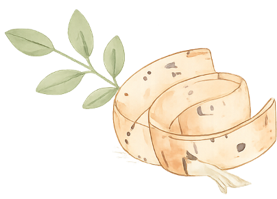 Sizing illustration